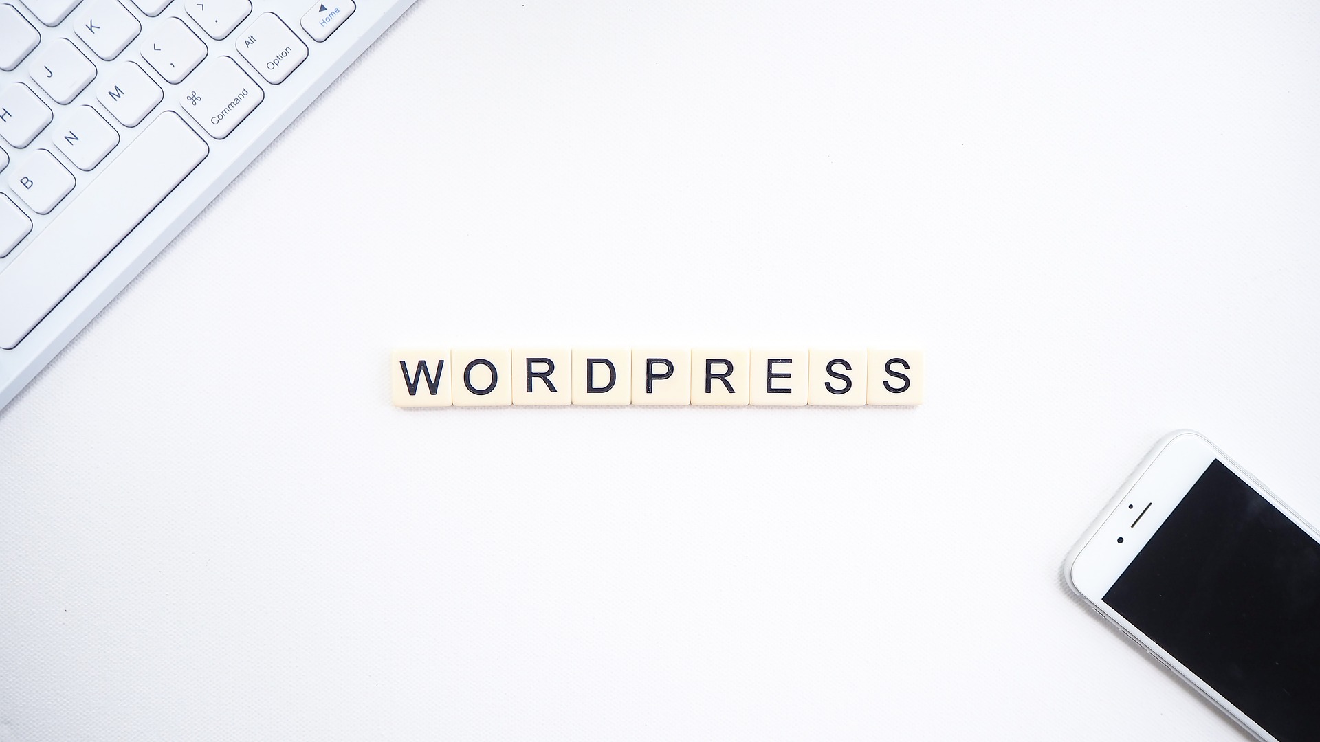 Webmaster Freelance wordpress à Paris